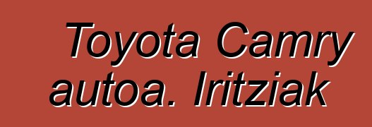 Toyota Camry autoa. Iritziak