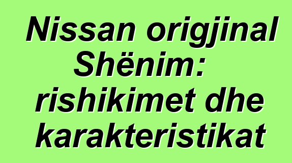 Nissan origjinal Shënim: rishikimet dhe karakteristikat