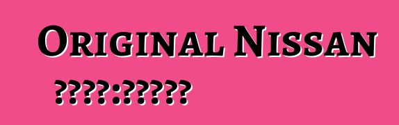 Original Nissan 注意事项：评论和特性