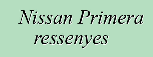 Nissan Primera ressenyes