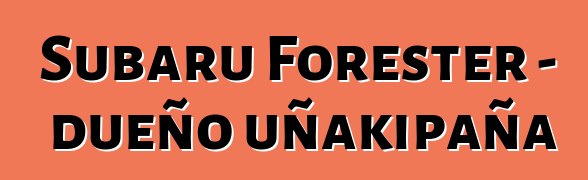 Subaru Forester – dueño uñakipaña