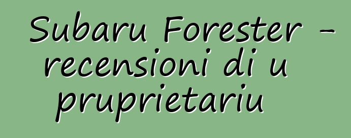 Subaru Forester – recensioni di u pruprietariu