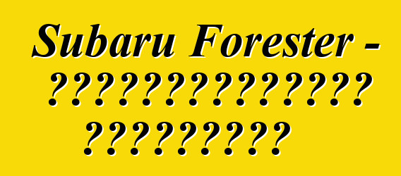 Subaru Forester – սեփականատերերի ակնարկներ