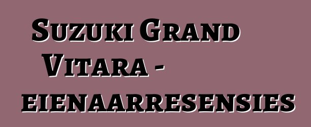 Suzuki Grand Vitara - eienaarresensies