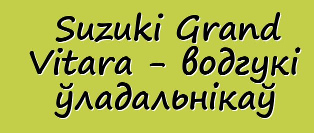 Suzuki Grand Vitara - водгукі ўладальнікаў