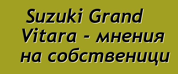 Suzuki Grand Vitara - мнения на собственици
