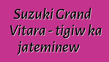 Suzuki Grand Vitara - tigiw ka jateminɛw