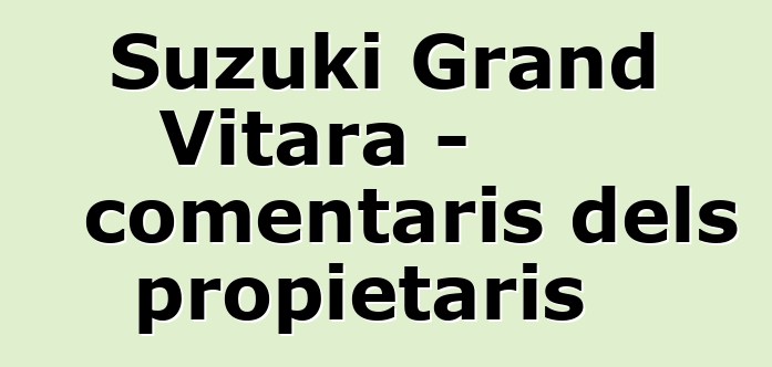 Suzuki Grand Vitara - comentaris dels propietaris