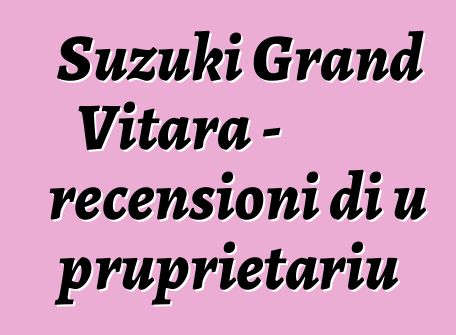Suzuki Grand Vitara - recensioni di u pruprietariu