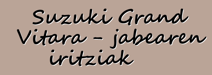 Suzuki Grand Vitara - jabearen iritziak