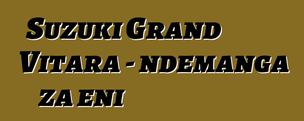 Suzuki Grand Vitara - ndemanga za eni