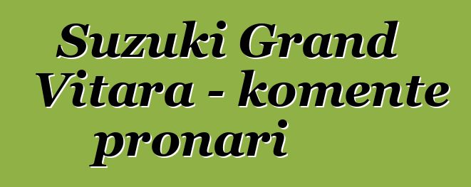 Suzuki Grand Vitara - komente pronari