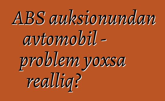 ABŞ auksionundan avtomobil - problem yoxsa reallıq?