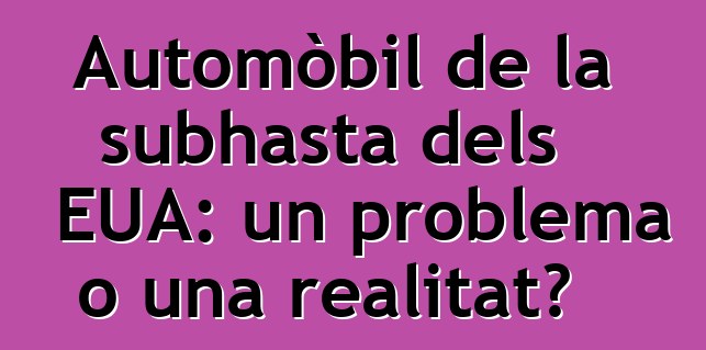 Automòbil de la subhasta dels EUA: un problema o una realitat?