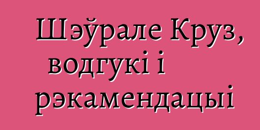 Шэўрале Круз, водгукі і рэкамендацыі