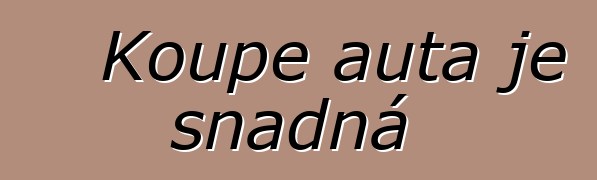 Koupě auta je snadná