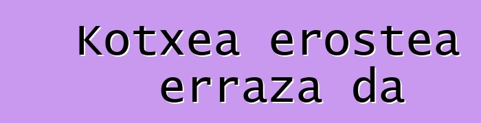 Kotxea erostea erraza da