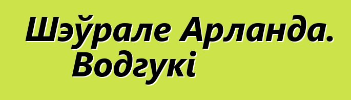 Шэўрале Арланда. Водгукі