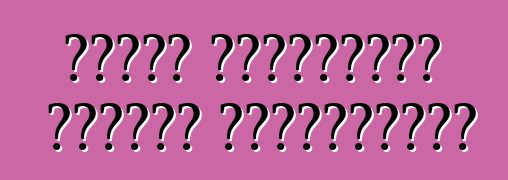 ফোর্ড ফিয়েস্তা গাড়ি। পর্যালোচনা