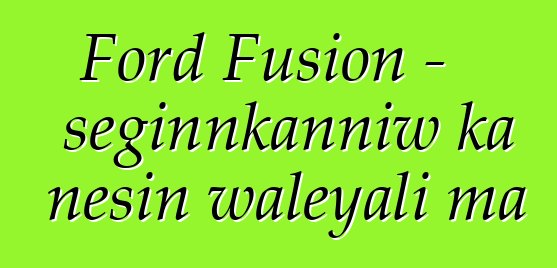 Ford Fusion - seginnkanniw ka ɲɛsin waleyali ma