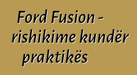 Ford Fusion - rishikime kundër praktikës
