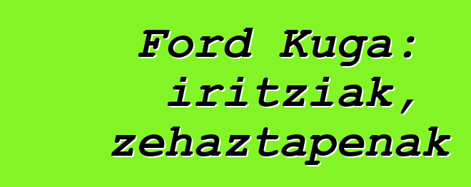Ford Kuga: iritziak, zehaztapenak