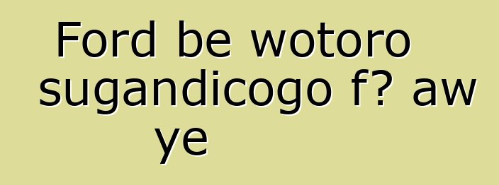 Ford bɛ wotoro sugandicogo fɔ aw ye