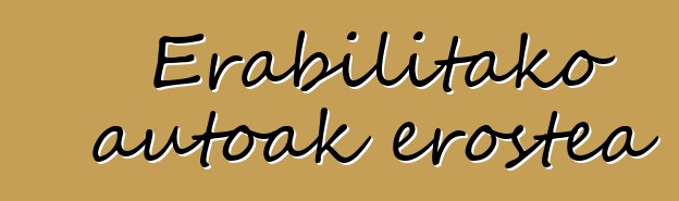 Erabilitako autoak erostea