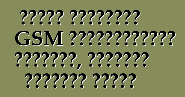 Նիսան Պրիմերա՝ GSM ավտոմեքենայի ահազանգ, հարգանք վարորդի համար