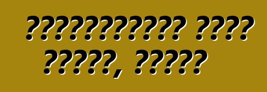 ভক্সওয়াগেন পোলো সেডান, রিভিউ