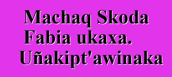 Machaq Skoda Fabia ukaxa. Uñakipt’awinaka