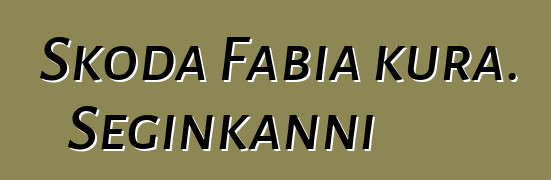 Skoda Fabia kura. Seginkanni
