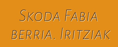 Skoda Fabia berria. Iritziak