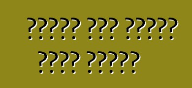 የዘመናዊ መኪና ፓውንሾፕ አሰራር መርሆዎች