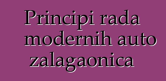 Principi rada modernih auto zalagaonica
