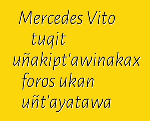 Mercedes Vito tuqit uñakipt’awinakax foros ukan uñt’ayatawa