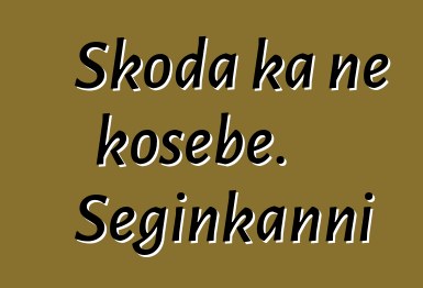 Skoda ka ɲɛ kosɛbɛ. Seginkanni