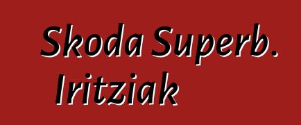 Skoda Superb. Iritziak