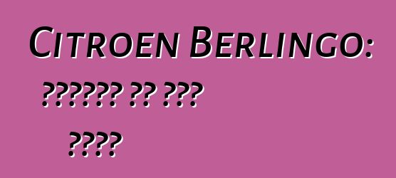 Citroen Berlingo: ግምገማዎች እና ሞዴል መግለጫ