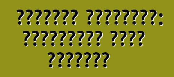 سيتروين بيرلينجو: المراجعات ووصف النموذج