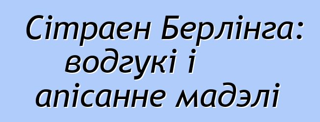 Сітраен Берлінга: водгукі і апісанне мадэлі