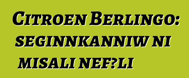 Citroen Berlingo: seginnkanniw ni misali ɲɛfɔli