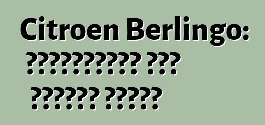 Citroen Berlingo: পর্যালোচনা এবং মডেলের বিবরণ