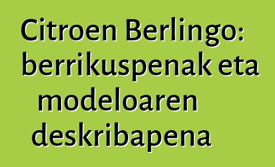 Citroen Berlingo: berrikuspenak eta modeloaren deskribapena
