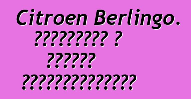 Citroen Berlingo. ակնարկներ և մոդելի նկարագրություն