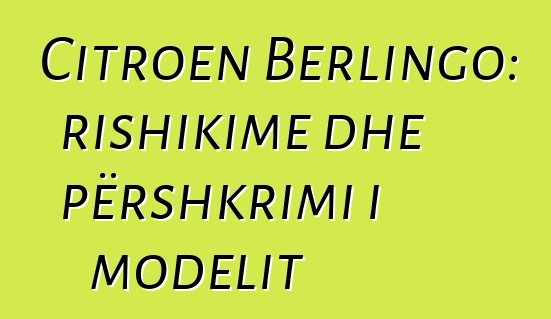 Citroen Berlingo: rishikime dhe përshkrimi i modelit