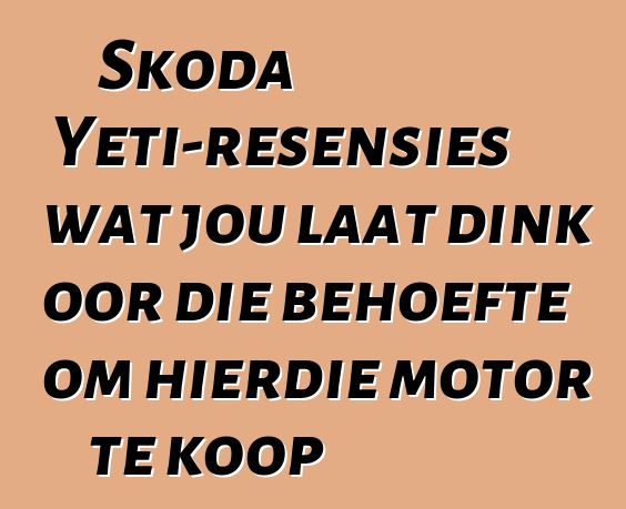 Skoda Yeti-resensies wat jou laat dink oor die behoefte om hierdie motor te koop