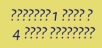 ቮልስዋገን፡ 1 መድረክ ለ 4 ሚሊዮን ተሸከርካሪዎች