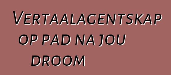 Vertaalagentskap op pad na jou droom