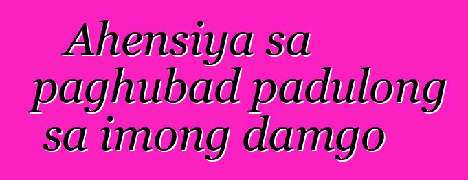 Ahensiya sa paghubad padulong sa imong damgo